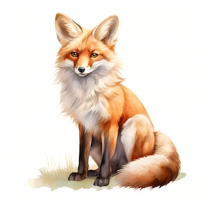 Clipart Fox, Immagini Fox stravaganti, 10 ClipArt ad acquerello, JPG stampabili, Download istantaneo, Uso commerciale, Mestiere con la carta