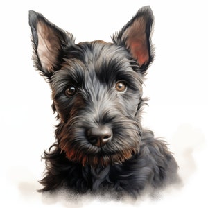 Scottish Terrier Clipart, Puppy Dog Images, 10 Watercolor Clip Art, Printable Jpgs, Instant ...
