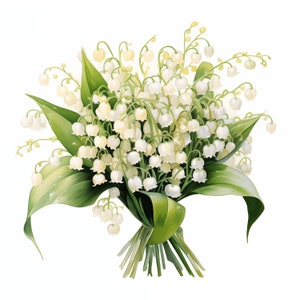 Clipart de muguet, images de bouquet de muguet, 10 cliparts aquarelle, fichiers JPG imprimables, téléchargement immédiat, usage commercial