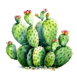 Cactus clipart, cactusafbeeldingen, 10 aquarel illustraties, afdrukbare JPG's, Instant Download, Commercieel gebruik, Papercraft