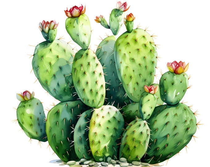 Cactus Clipart, Cactus Images, 10 Watercolor Clip Art, Printable JPGs, Instant Download, Commercial Use, Paper craft
