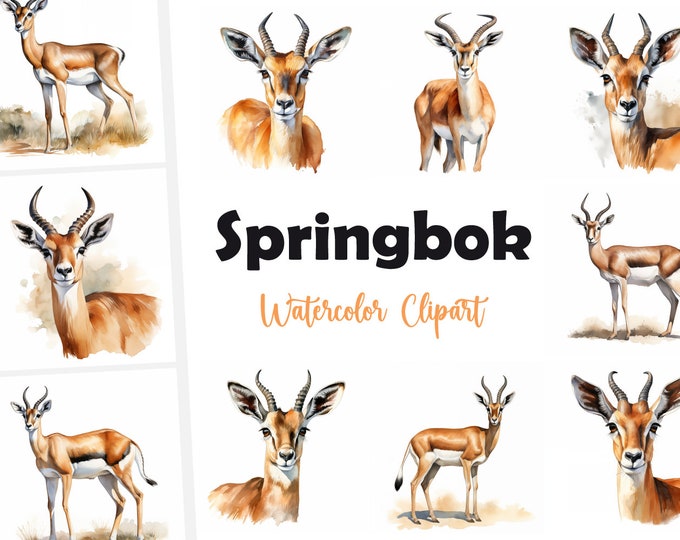 Springbok Clipart, Springbok Antelope Images, 10 Watercolor Clip Art, Printable JPGs, Instant Download, Commercial Use, Paper craft