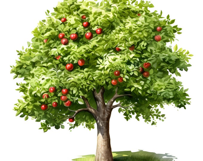 Apple Tree Clipart, Tree in Orchard Images, 10 Watercolor Clip Art, Printable JPGs, Instant Download, Commercial Use, Paper craft