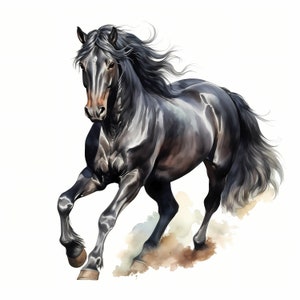 Schwarzes Pferd Clipart, schwarzer Hengst Bilder, 10 Aquarell Clip Art, druckbare JPGs, Sofort Download, kommerzielle Nutzung, Papiermodell