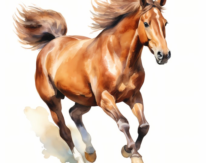 Horse Jumping Clipart, Show Jumping Horse Images, 10 Watercolor Clip Art, Printable JPGs, Instant Download, Commercial Use, Paper craft
