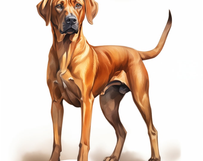 Ridgeback Clipart, Rhodesian Ridgeback Dog Images, 10 Watercolor Clip Art, Printable JPGs, Instant Download, Commercial Use, Paper craft