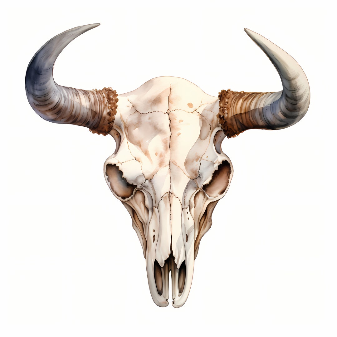 Cow Skull Clipart, Bull Skull Images, 10 Watercolor Clip Art, Printable ...