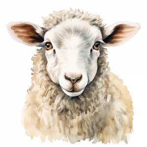 Op de afbeelding: Een aquarel schilderij van een wit schaap met bruine oren. Het schaap kijkt recht naar de kijker met een zachte uitdrukking. De wol van het schaap is pluizig en textuur.