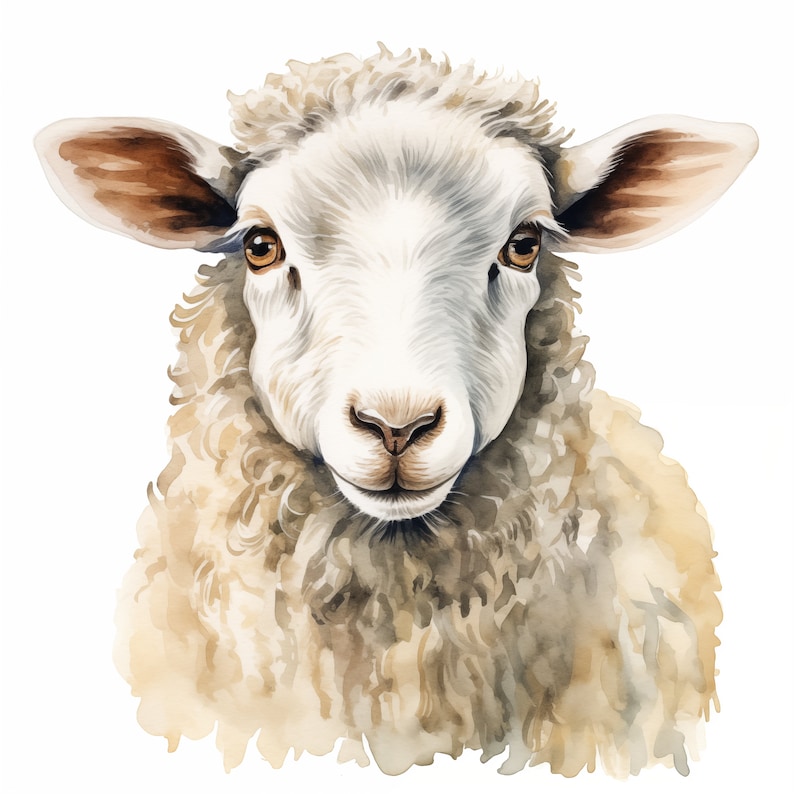 Op de afbeelding: Een aquarel schilderij van een wit schaap met bruine oren. Het schaap kijkt recht naar de kijker met een zachte uitdrukking. De wol van het schaap is pluizig en textuur.