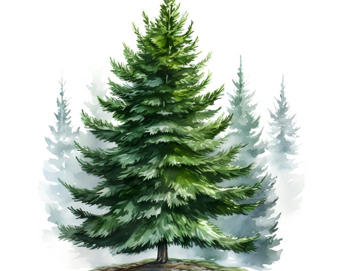Christmas Tree Clipart, Snowy Pine Images, 10 Watercolor Clip Art, Printable JPGs, Instant Download, Commercial Use, Paper craft