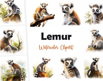 10 Lemur, Lemur JPG, Watercolor Clipart, High Quality JPGs, Digital Download, High Resolution, Commercial Use