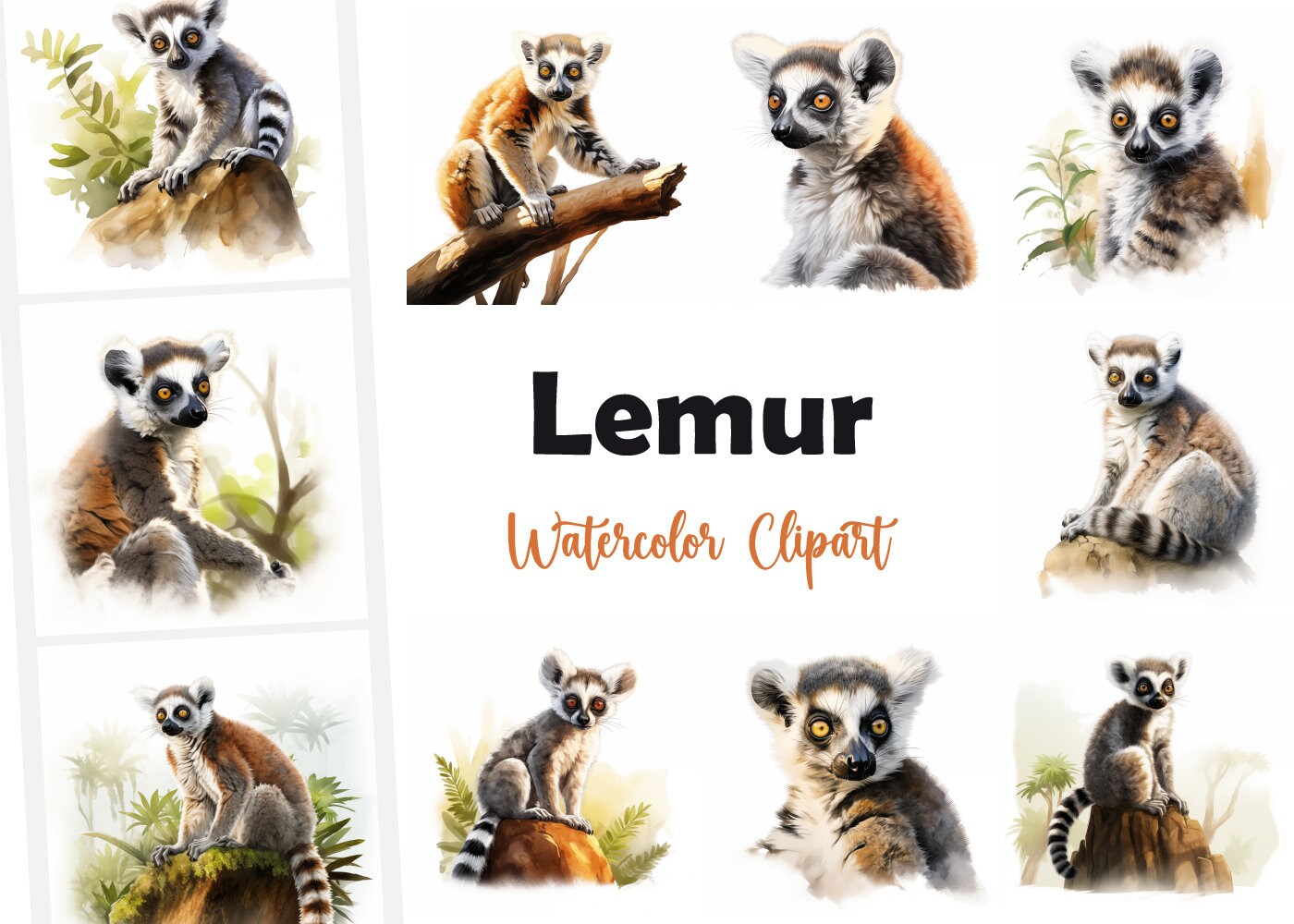 Lemur Clipart, Lemur Images, 10 Watercolor Clip Art, Printable Jpgs ...