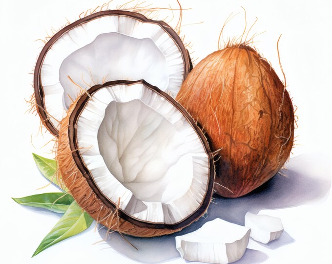 Coconut Clipart, Tropical Fruit Images, 10 Watercolor Clip Art, Printable JPGs, Instant Download, Commercial Use, Paper craft