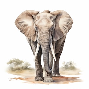 Clipart de elefante en acuarela: Imágenes de animales africanos (JPG, uso comercial)