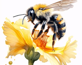 Imágenes prediseñadas de abejas y flores, imágenes de abejas melíferas, 10 imágenes prediseñadas en acuarela, JPG imprimibles, descarga instantánea, uso comercial, manualidades en papel
