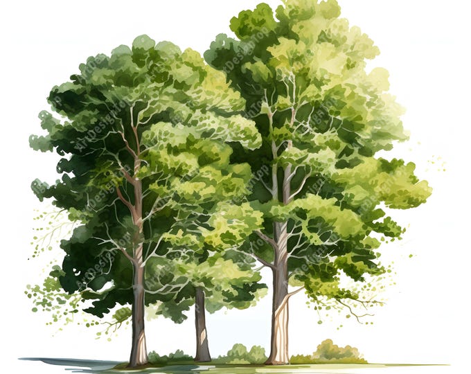 Scandinavian Trees Clipart, Christmas Trees Images, 10 Watercolor Clip Art, Printable JPGs, Instant Download, Commercial Use, Paper craft