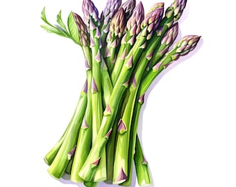 Asparagus Clipart, Green Asparagus Images, 10 Watercolor Clip Art, Printable JPGs, Instant Download, Commercial Use, Paper craft