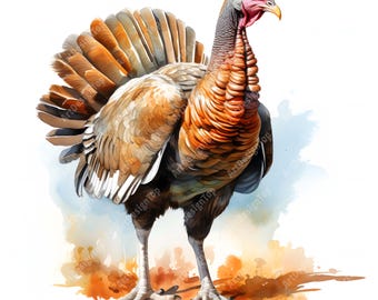 Turkey Clipart, Wild Turkey Images, 10 Watercolor Clip Art, Printable JPGs, Instant Download, Commercial Use, Paper craft