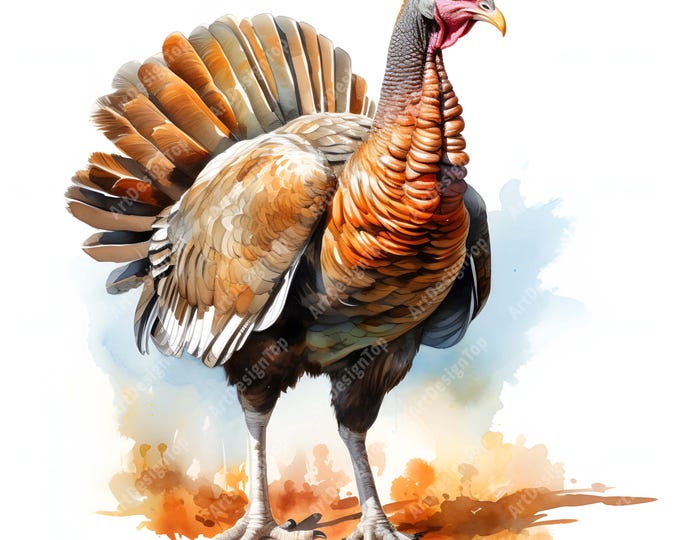 Turkey Clipart, Wild Turkey Images, 10 Watercolor Clip Art, Printable JPGs, Instant Download, Commercial Use, Paper craft