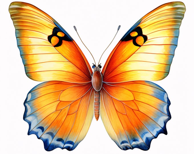 Butterfly Clipart, Colorful Wings Images, 10 Watercolor Clip Art, Printable JPGs, Instant Download, Commercial Use, Paper craft