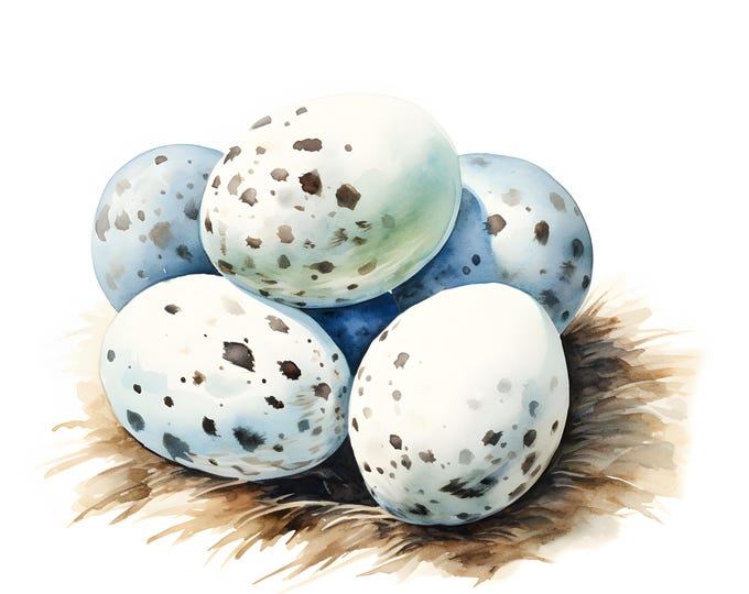 Bird Eggs Clipart, Bird Nest With Eggs Images, 10 Watercolor Clip Art, Printable JPGs, Instant Download, Commercial Use, Paper craft