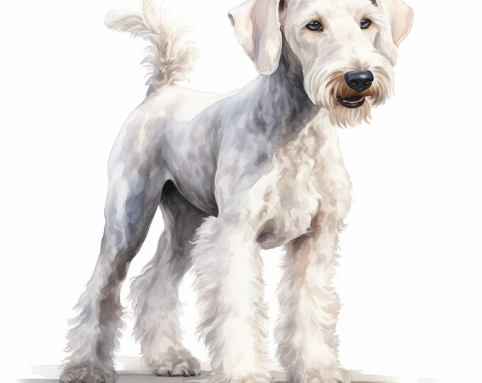 Bedlington Terrier Dog Clipart, Terrier Dog Images, 10 Watercolor Clip Art, Printable JPGs, Instant Download, Commercial Use