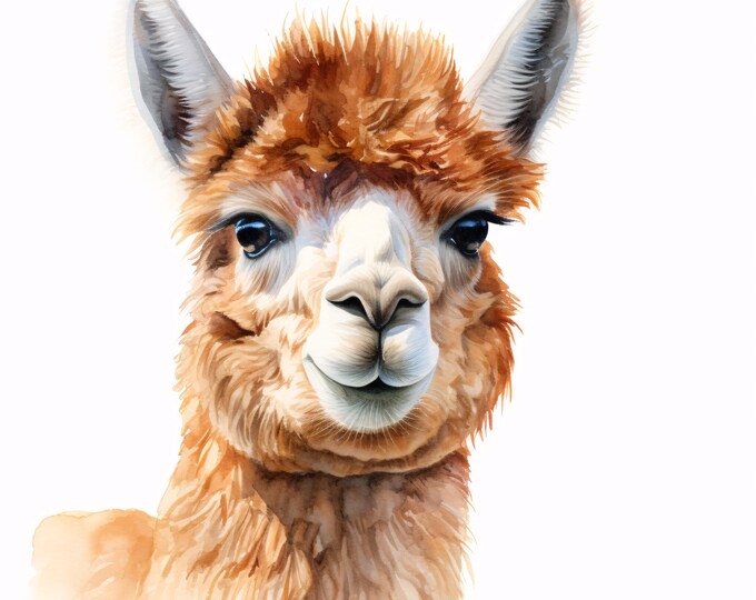 Alpaca Clipart, Farm Animal Images, 10 Watercolor Clip Art, Printable JPGs, Instant Download, Commercial Use, Paper Craft