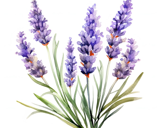 Lavender Clipart, Lavender Bouquet Images, 10 Watercolor Clip Art, Printable JPGs, Instant Download, Commercial Use, Paper craft