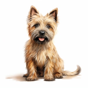 Cairn Terrier Clipart, Cairn Terrier Dog Images, 10 Watercolor Clip Art