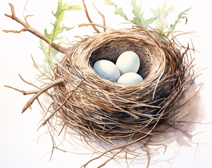 Watercolor Bird Nest Clipart: Spring Eggs JPG Images (Commercial Use, Instant Download)
