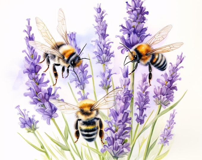 Lavender Bees Clipart, Floral Honeybee Images, 10 Watercolor Clip Art, Printable JPGs, Instant Download, Commercial Use