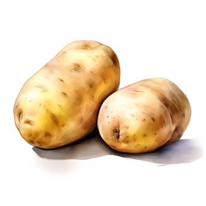 Imágenes prediseñadas de patata, imágenes de batata, 10 imágenes prediseñadas de acuarela, archivos JPG imprimibles, descarga instantánea, uso comercial, manualidades de papel