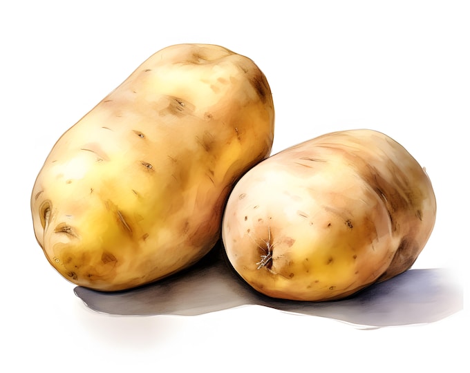 Potato Clipart, Sweet Potato Images, 10 Watercolor Clip Art, Printable JPGs, Instant Download, Commercial Use, Paper craft
