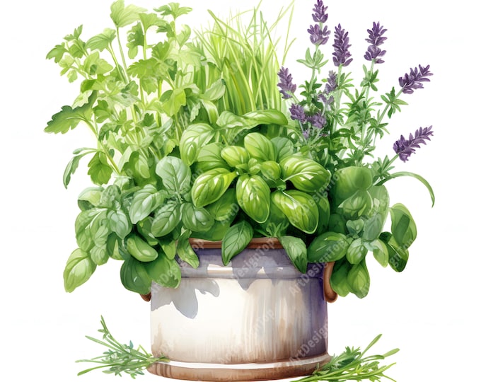 Herbs in Pots Clipart, Kitchen Herbs Images, 10 Watercolor Clip Art, Printable JPGs, Instant Download, Commercial Use, Paper craft