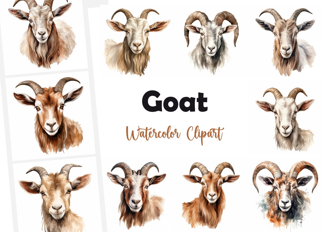 Goat, Farmyard Goat - Watercolor Clipart Set With 13 JPG Images ...
