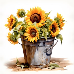Clipart bouquet de tournesols, tournesols dans un seau d'images, 10 images clipart aquarelle, fichiers JPG imprimables, téléchargement immédiat, usage Commercial