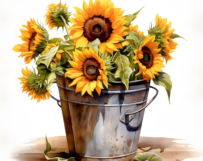 Sunflowers Bouquet Clipart, Sunflowers In Bucket Images, 10 Watercolor Clip Art, Printable JPGs, Instant Download, Commercial Use