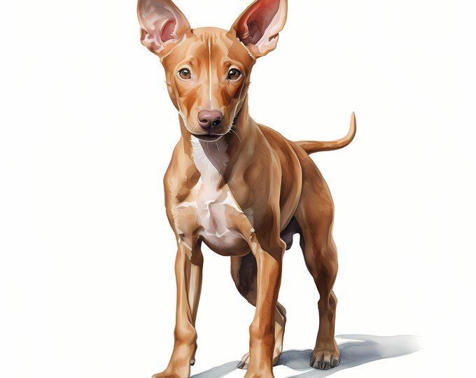 Pharaoh Hound Dog Clipart, Puppy Dog Images, 10 Watercolor Clip Art, Printable JPGs, Instant Download, Commercial Use, Paper craft