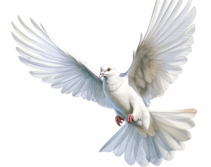 White Dove Clipart, Peace Dove Images, 10 Watercolor Clip Art, Printable JPGs, Instant Download, Commercial Use, Paper craft