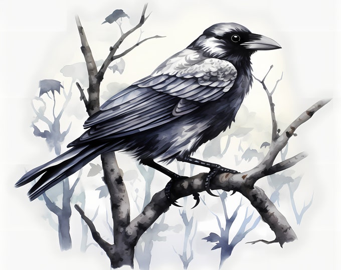 Crow on Branch Clipart, Black Raven Images, 10 Watercolor Clip Art, Printable JPGs, Instant Download, Commercial Use, Paper craft