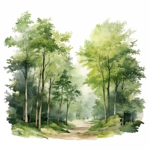 Op de afbeelding: Een aquarel schilderij van een bospaadje met groene bomen en een onverharde weg die de diepte in loopt.
