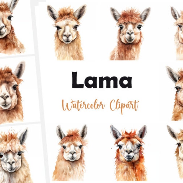 16 Lama Head, Lama Clipart, Watercolor clipart, High Quality JPGs, Digital Download, High Resolution, Commercial Use
