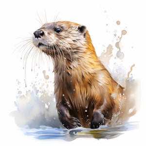 Otter Clipart, Sea Otter Images, 10 Watercolor Clip Art, Printable JPGs, Instant Download, Commercial Use, Paper craft