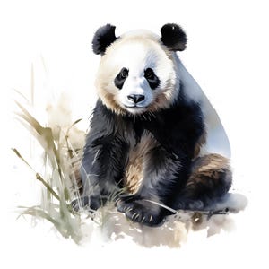 May include: A watercolor painting of a black and white panda bear sitting on a rock with green grass and leaves behind it.
