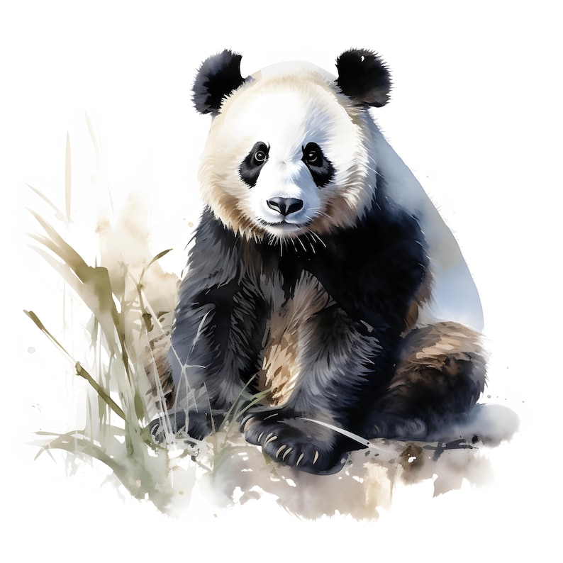 May include: A watercolor painting of a black and white panda bear sitting on a rock with green grass and leaves behind it.