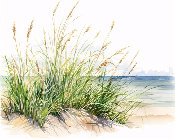 Watercolor Beach Grass Clipart: Coastal Landscape JPG Images (Commercial Use, Instant Download