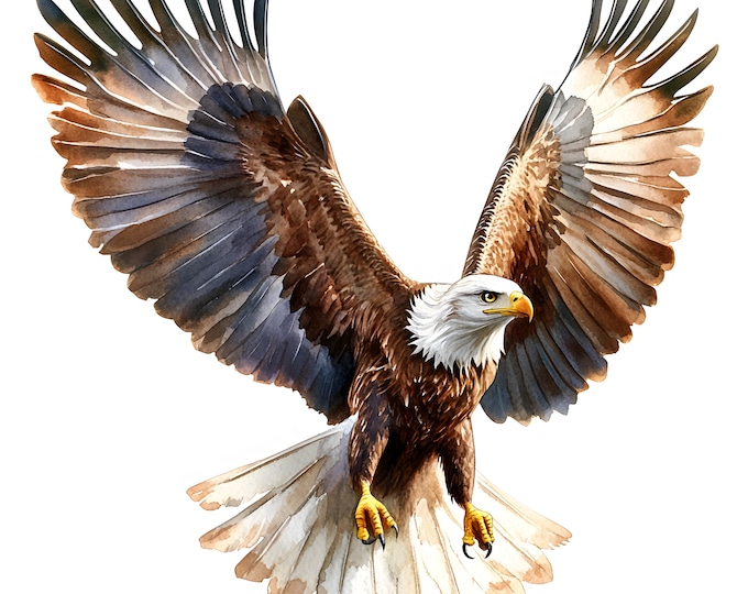 Eagle Clipart, Flying Eagle Images, 10 Watercolor Clip Art, Printable JPGs, Instant Download, Commercial Use, Paper craft