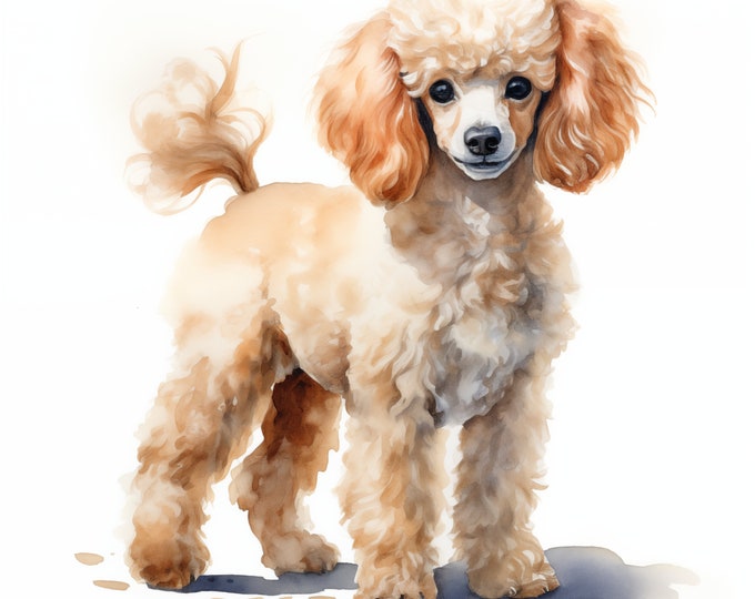 Poodle Clipart, Poodle Dog Images, 10 Watercolor Clip Art, Printable JPGs, Instant Download, Commercial Use, Paper craft
