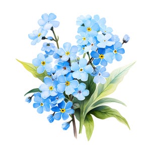Clipart ne m'oublie pas, images de fleurs bleues, 10 images clipart aquarelle, fichiers JPG imprimables, téléchargement immédiat, usage commercial, créations en papier