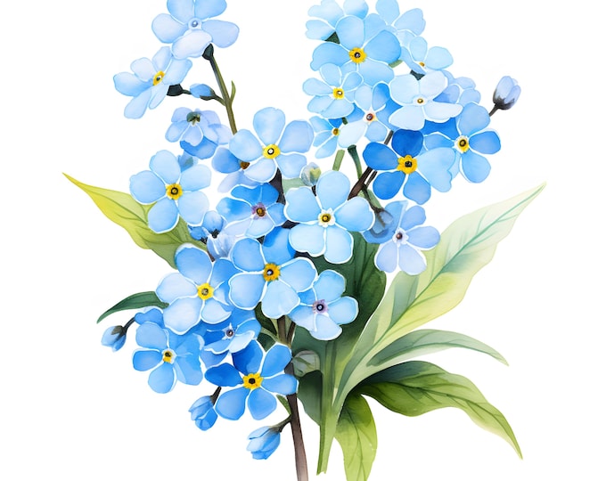 Forget Me Not Clipart, Blue Flowers Images, 10 Watercolor Clip Art, Printable JPGs, Instant Download, Commercial Use, Paper craft